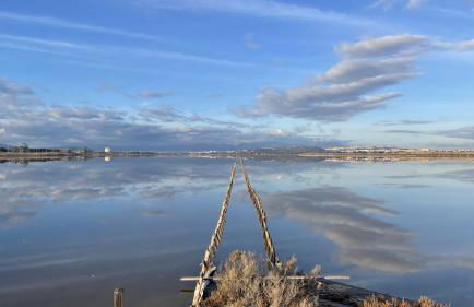 Mari'Entu - Photo 44