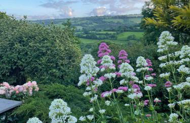 Walkers Retreat with garden and views - Photo 31