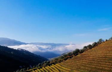 Quinta de Baixo - Photo 26