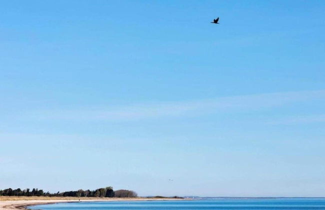 5 Person Holiday Home in Stege - Foto 32