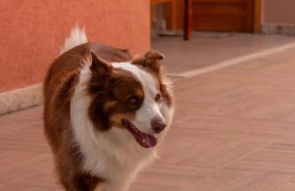 Villa Matilde - Foto 61