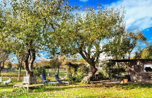 Ferienhaus in Thorstorf mit Garten - Foto 45