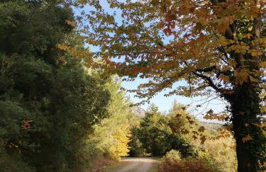 Periklis Guesthouse Anavriti. - Foto 46