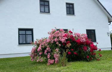 Ferienwohnung Groß Zicker - Foto 46