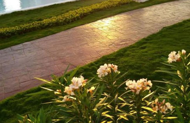 Dreams Lagoon Cancun - Photo 18