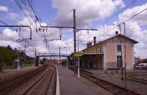 L'ile aux oiseaux - Foto 32