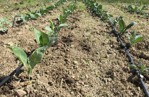 Agriturismo La Casina della Burraia - Foto 71