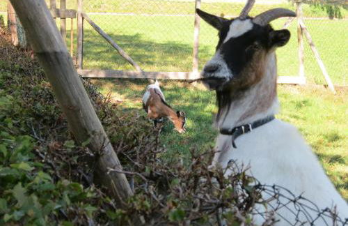 Hummelshof - Foto 26