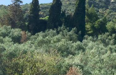 Belvedere Zakynthos Studios - Foto 52