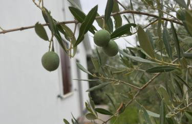 Apartman Ruža - Photo 47