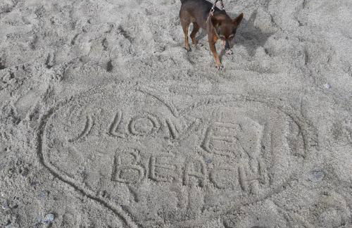 Villa Nicole - STELLA MARINA APARTMENT - Foto 6