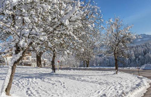 Apartment Bergblick - Foto 14