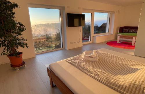 Ferienwohnung Taunuspanorama Eppenhain - Foto 1