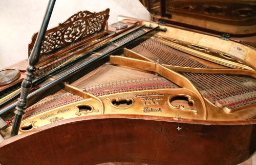 Villa Carolus-Luxurious Istrian Villa - Photo 70