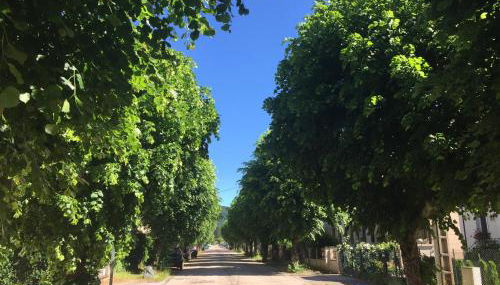 Le Gîte de Brigitte ! - Foto 3