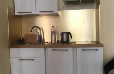 Le Sancy appartement - Foto 3