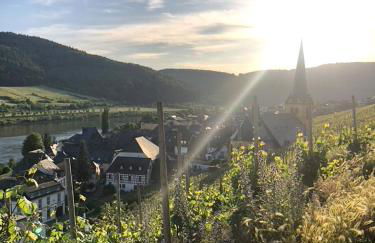 Gemütliches Studio Rosenburgblick in Moselnähe - Foto 10
