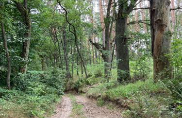 Jolly Old House - Foto 34