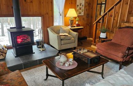 Cozy Cabin near Lake Placid, Whiteface-King, Ice Barrel, Hot Tub - Foto 49