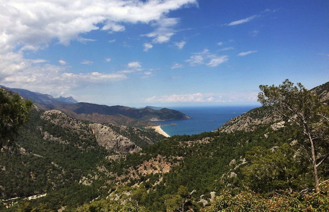 Kadir's Tree Houses - Photo 29