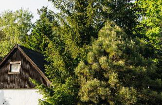 Kwintesencja Natury - Foto 22