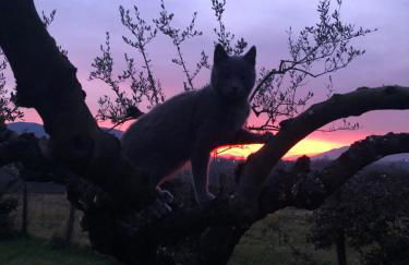 Dreams Valley - Foto 30