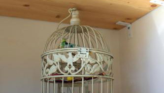 Piccola Casa Blu - Foto 3