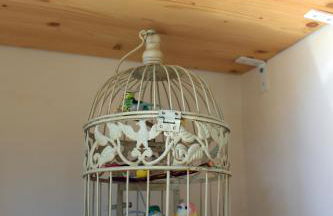 Piccola Casa Blu - Foto 3