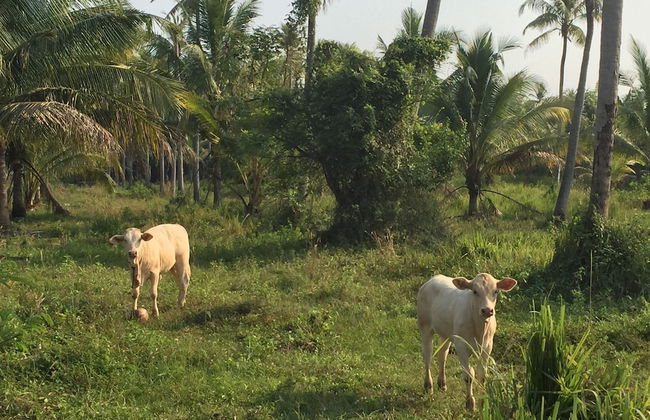 155 SalaCoco - Foto 42