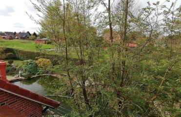 Ferienwohnung Lütje Moew - Dachterrasse und ruhige Lage - Foto 22