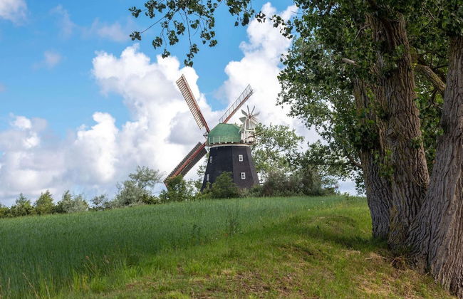 Wohnung in Tessmannsdorf mit Garten - Foto 36