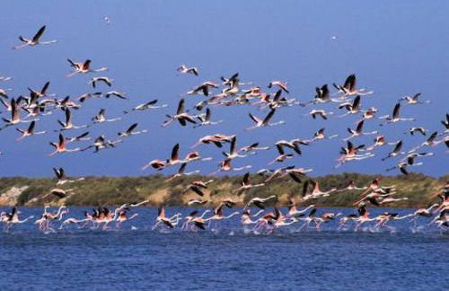 Duplex lumineux près plages - Terrasse & Clim - Parking inclus - FR-1-307-285 - Photo 23