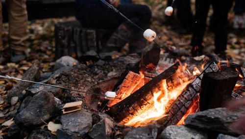 Cozy Cabins - Alaskan Getaways - Foto 5