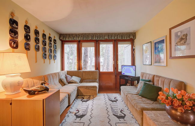 Lo Stambecco - Foto 14