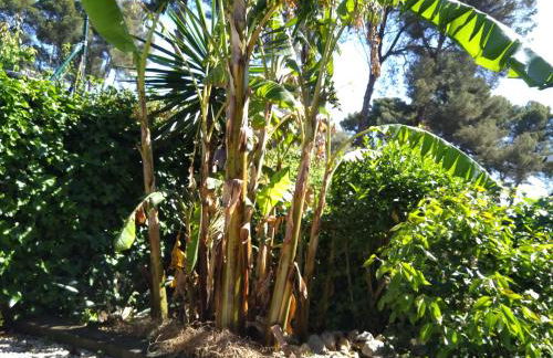 VILLA DEL BOSQUE - Photo 20