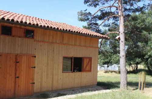 Eco Urbión - Foto 125