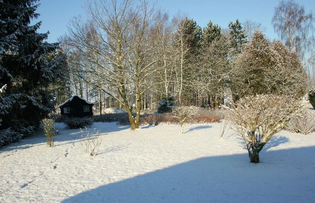 Holiday Home in Froidchapelle With Garden - Foto 39