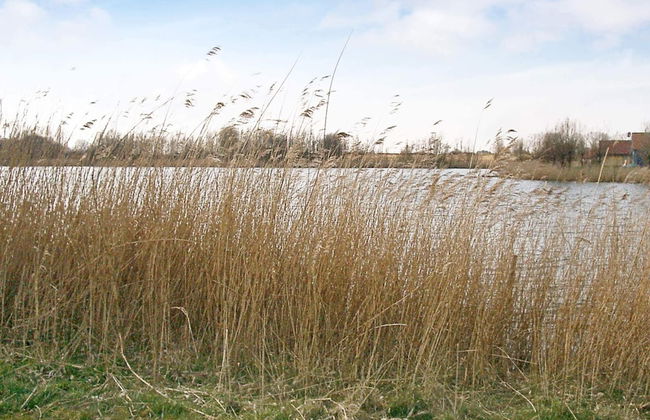 Holiday Home in Otterndorf - Photo 24