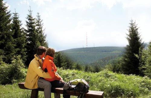 Ferienwohnung Panorama - Foto 44