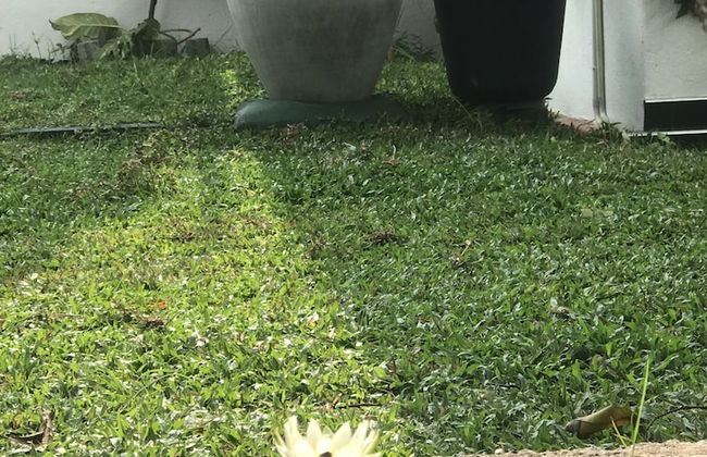 Aiden Court - Photo 28