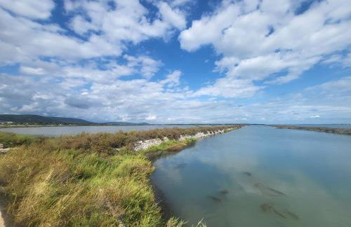 La garrigue - Photo 9