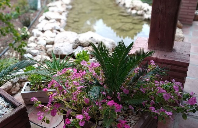 Cortijo Veracruz - Photo 63