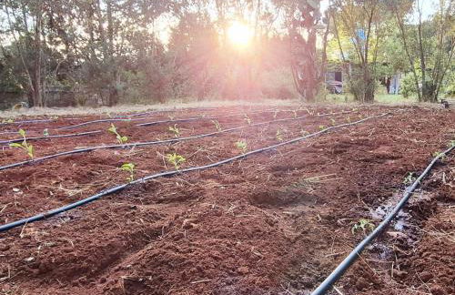 ALFA COUNTRY HOUSE Villa Salento - Foto 9