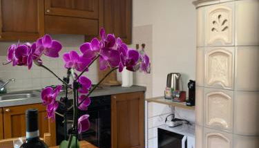 Ca d’Censo - Foto 3, stove, toaster, minibar