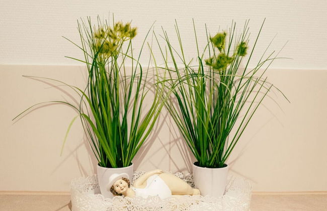 Moi"n Dag Modern Retreat - Foto 19