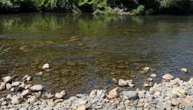 LouzaNook - Casa do Moinho - Foto 2