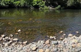 LouzaNook - Casa do Moinho - Foto 2