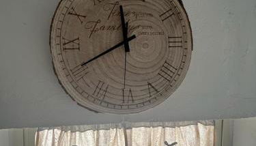 Fichi d india - Foto 4