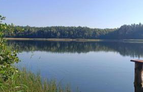 Agroturystyka Żółta Ostoja - Foto 28