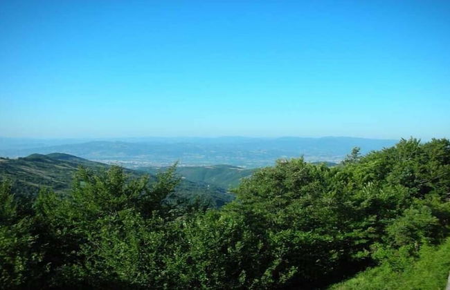 Colleverde Country House Beauty&Wellness - Foto 67